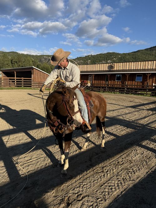 A cowboy with a lasso on horseback in the arena