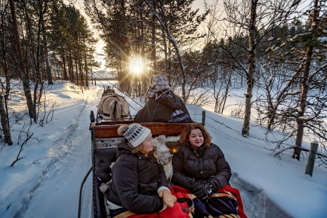 A horse-drawn sleigh in the snowy forest at sunset