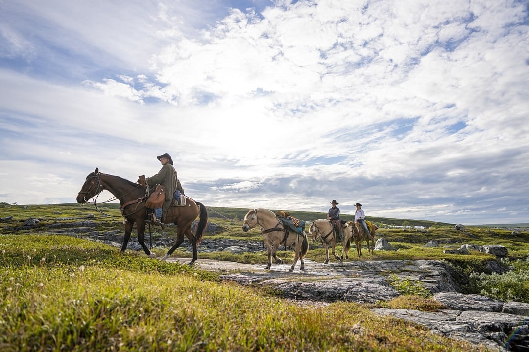 Riders on the green plateau under the summer sky